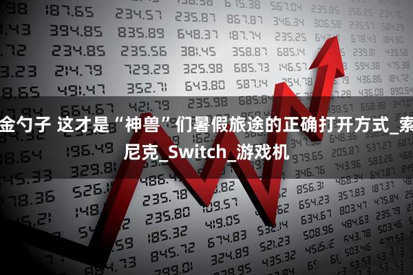 金勺子 这才是“神兽”们暑假旅途的正确打开方式_索尼克_Switch_游戏机