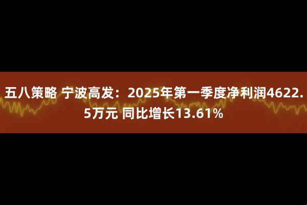 五八策略 宁波高发：2025年第一季度净利润4622.5万元 同比增长13.61%
